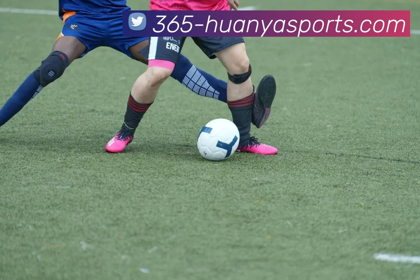 环亚体育365发展历程